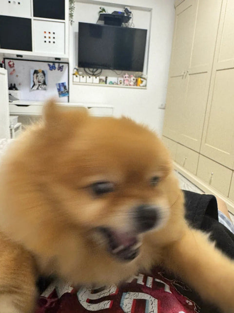 Review Card